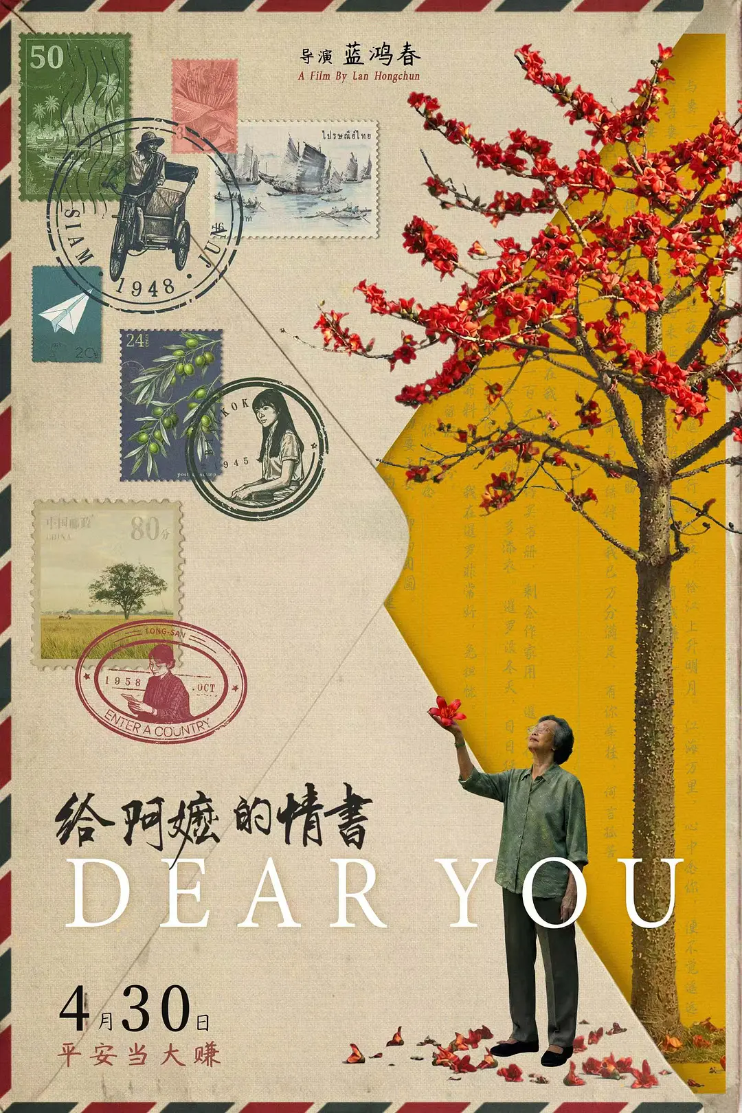 给阿嬷的情书的海报-正式海报 中国大陆