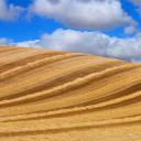 云下的麦田，西班牙巴利亚多利德 (© Carlos Javier García Prieto/EyeEm/Getty Images)(20200726)