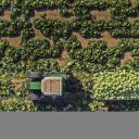 田里的拖拉机和装载着卷心菜的拖车，奥地利圣珀尔滕 (© Stephan Zirwes/Getty Images)(20201016)