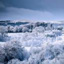 Barnett Demesne公园中在白雪覆盖的山坡上玩耍的一家，北爱尔兰贝尔法斯特 (© Stephen Barnes/Alamy)(20201226)