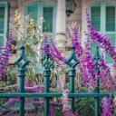 屋前的鲜花和铁艺围栏，路易斯安那州新奥尔良 (© Lauren Mitchell/Offset by Shutterstock)(20210216)