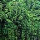 托塞加尔瀑布，印度马哈拉施特拉邦 (© Sonali Kumar/iStock/Getty Images Plus)(20210506)