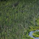 穆斯黑德湖附近的Norcross Brook河与湿地，缅因州皮斯卡特奎斯 (© Aaron Black-Schmidt/Tandem Stills + Motion)(20210507)