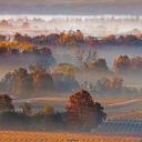 世界著名气泡酒产地普罗塞克山丘,意大利威尼托 (© Olimpio Fantuz/Sime/eStock Photo)(20211015)