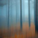 薄雾笼罩的松树林，越南 (© Thanh Thuy/Moment/Getty Images)(20211030)