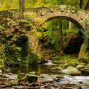 托利莫尔森林公园的弗利桥，英国北爱尔兰 (© Adrian McGlynn/Alamy)(20211104)