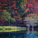 海狸湾度假公园, 美国俄克拉何马州 (© Inge Johnsson/Alamy)(20211112)