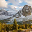 阿西尼博因山公园的秋叶，加拿大不列颠哥伦比亚省 (© Mitch Pittman/TANDEM Stills + Motion)(20211120)