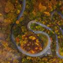 伊吕波坂山道，日本日光市 (© LightRecords/Shutterstock)(20211122)