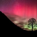 哈德良长城上空的北极光，英格兰诺森伯兰郡 (© Guy Edwardes/NPL/Minden Pictures)(20220221)