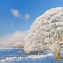 霜雪覆盖下的科茨沃尔德，英格兰 (© Peter Adams/Getty Images)(20220228)
