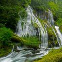 春天的豹溪瀑布，吉福德·平肖国家森林，美国华盛顿州 (© Stephen Matera/Tandem Stills + Motion)(20220510)