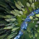 加勒廷国家森林里的小溪，美国蒙大拿州 (© Jared Lloyd/Getty Images)(20220529)